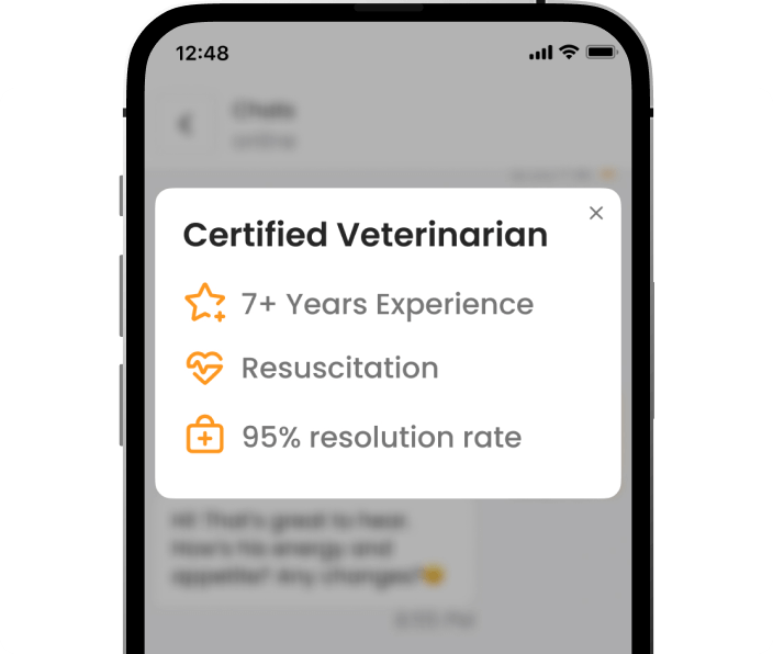 Certified Veterinarian